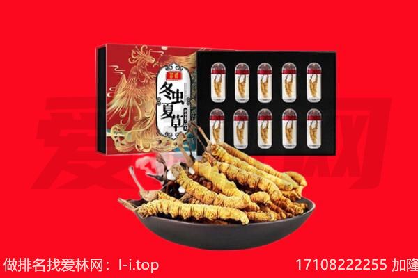 北京市怀柔回收虫草.jpg